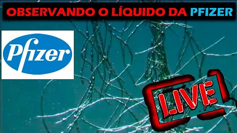 Liquido da P`fizer.