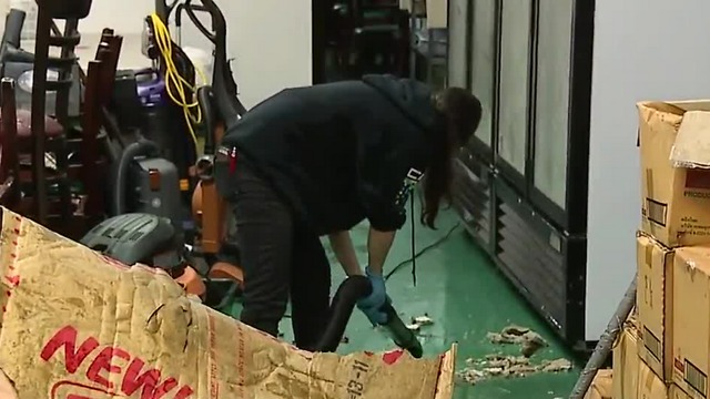 Lotus of Siam forced to close after roof collapse