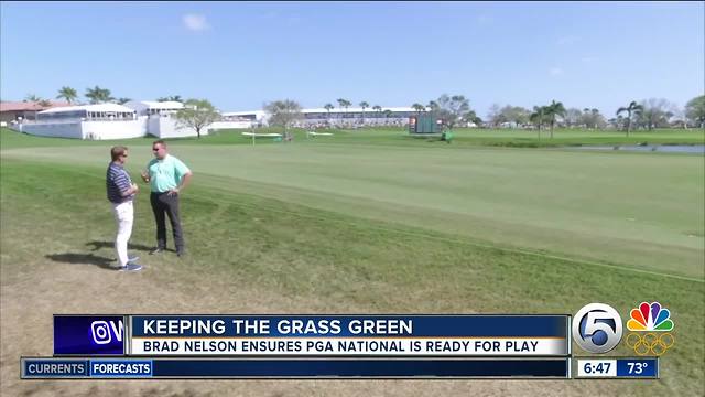 One man has his eyes on the grass at The Honda Classic