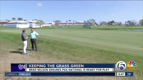 One man has his eyes on the grass at The Honda Classic