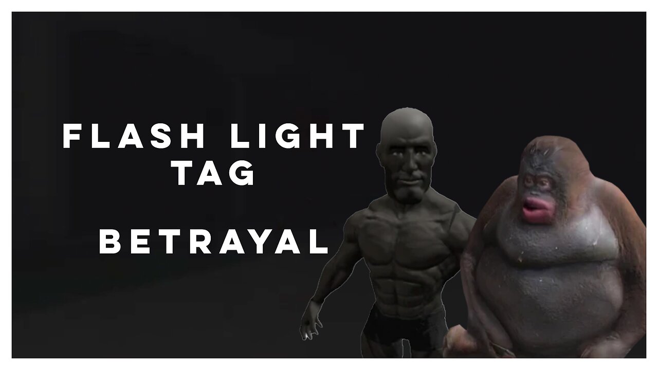 Flashlight Tag Betrayal