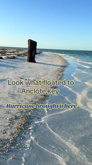Look What Floated To Anclote Key After The Hurricane