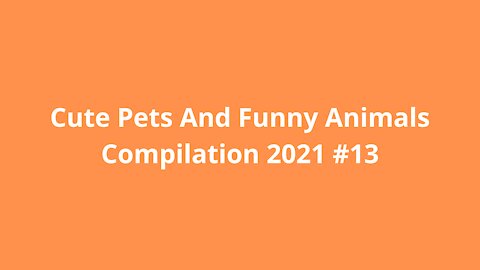 Cute Pets And Funny Animals Compilation 2021 #13