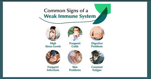Low Immune Function - Supplements & Herbs