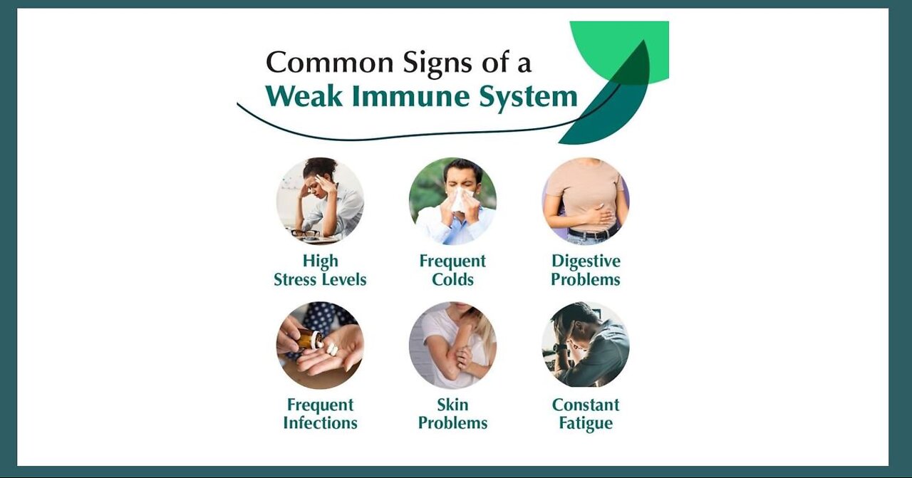 Low Immune Function - Supplements & Herbs