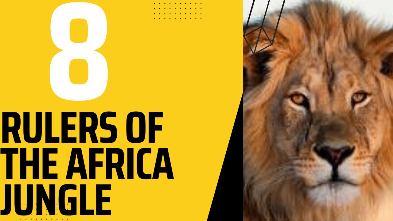 8 Apex predators of Africa