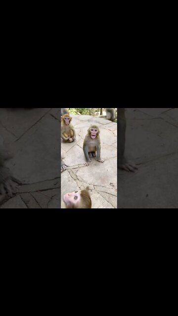 Most Amazing and trending video||relaxing your mind||trendig videos|| #shorts #trending #viral #live