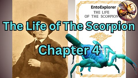 The Languedocian Scorpion: The Immunity of Larvae - Chapter 4 The Life of the Scorpion by Jean Hen