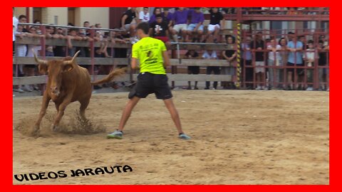 LUCENI ( ZARAGOZA ) TARDE VACAS PLAZA ( DOMINGO 28 AGOSTO 2022 ) ARRIAZU