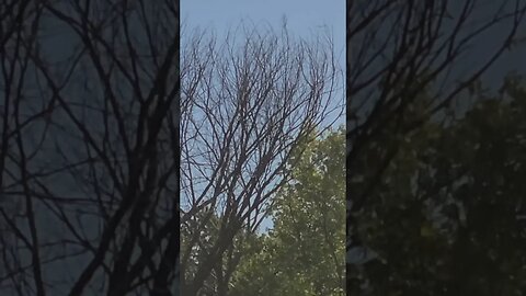 already prepared #shorts