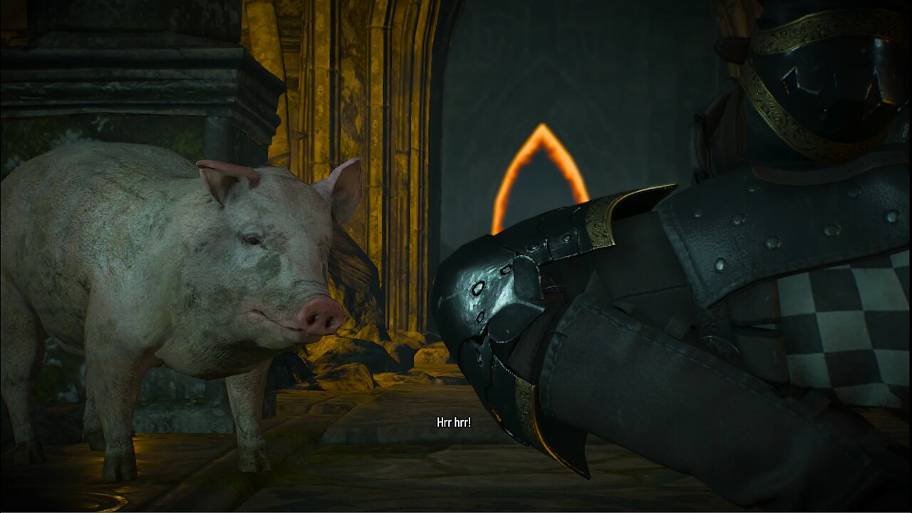 The Witcher 3 fool gold p1