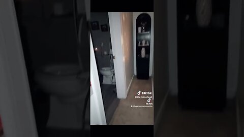 Something is in the house
