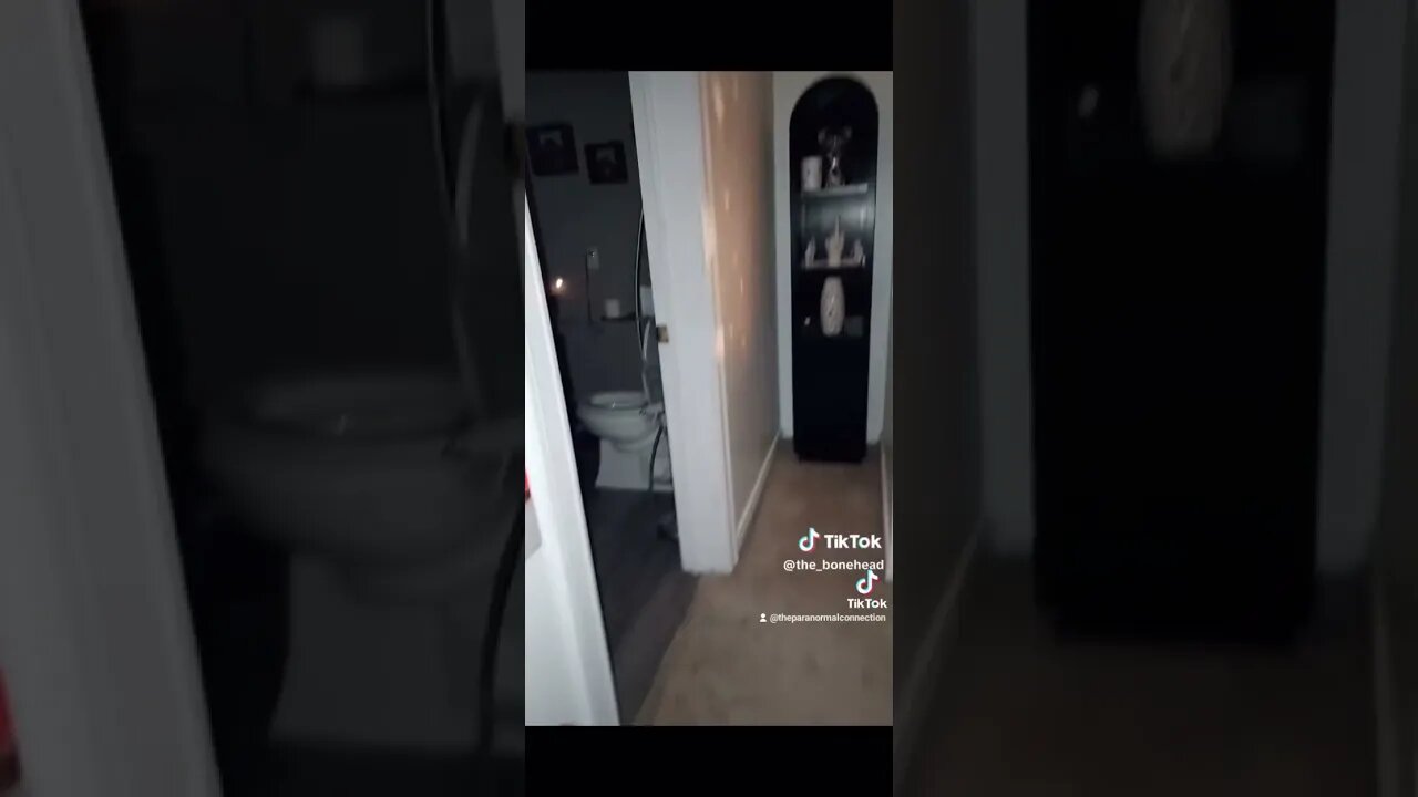 Something is in the house