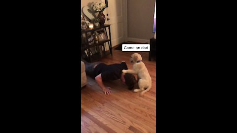 Give this dog some treatos