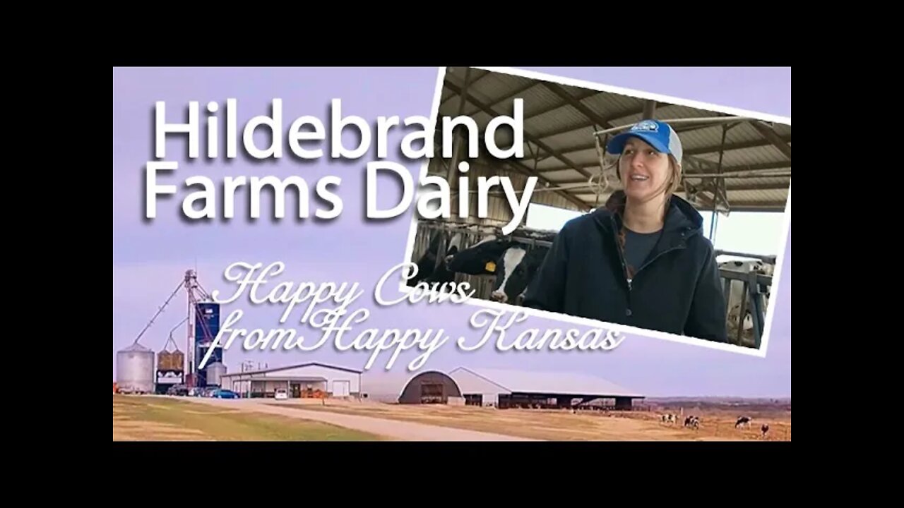 HAPPY COWS Come From HAPPY KANSAS! Hildebrand Dairy: 4 Generations of Delicious Dairy in Kansas.