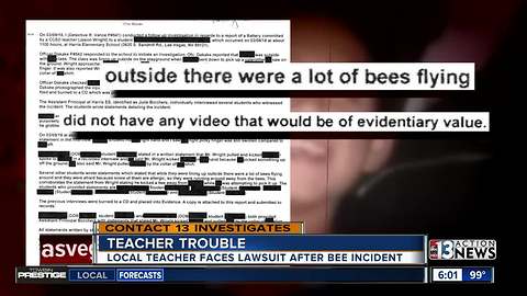 Civil lawsuit alleges Henderson teacher kicked student after bee sighting