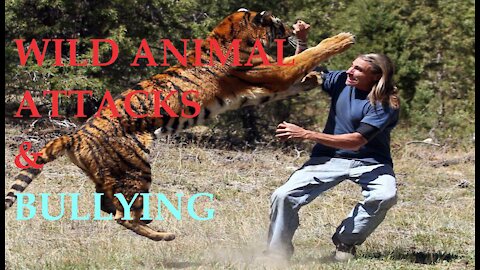 Episode-30 Bullying, Wild animals attack, & WTF News