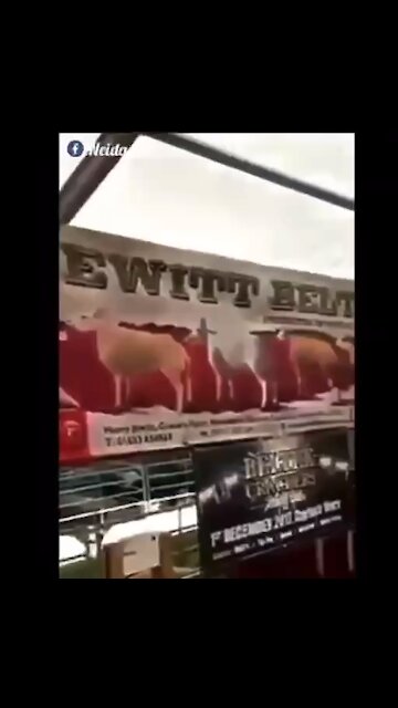 What the hell is this?