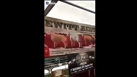 What the hell is this?