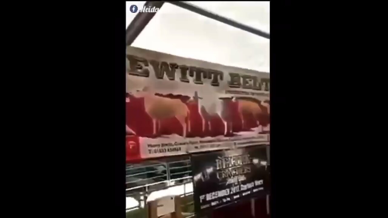 What the hell is this?