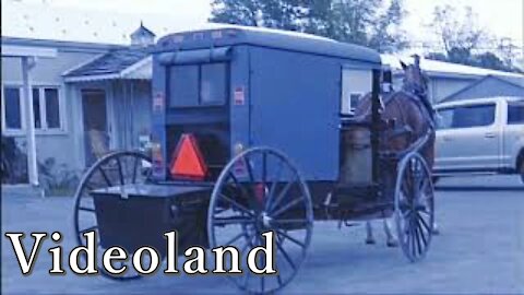 Amish Farmlands