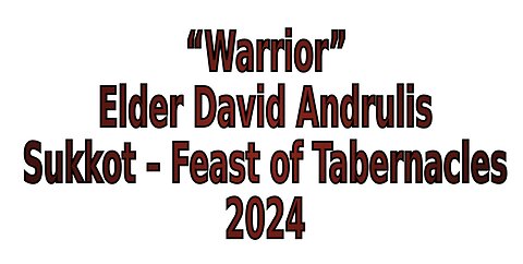 Warrior - David Andrulis