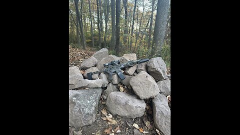 Sig spear lt initial review