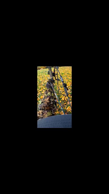 Successful Ground Hunt!