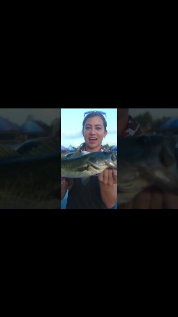 Bass Fish in Epcot #Shorts