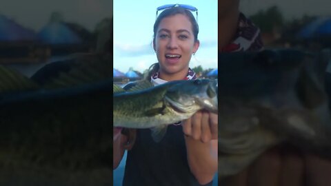 Bass Fish in Epcot #Shorts