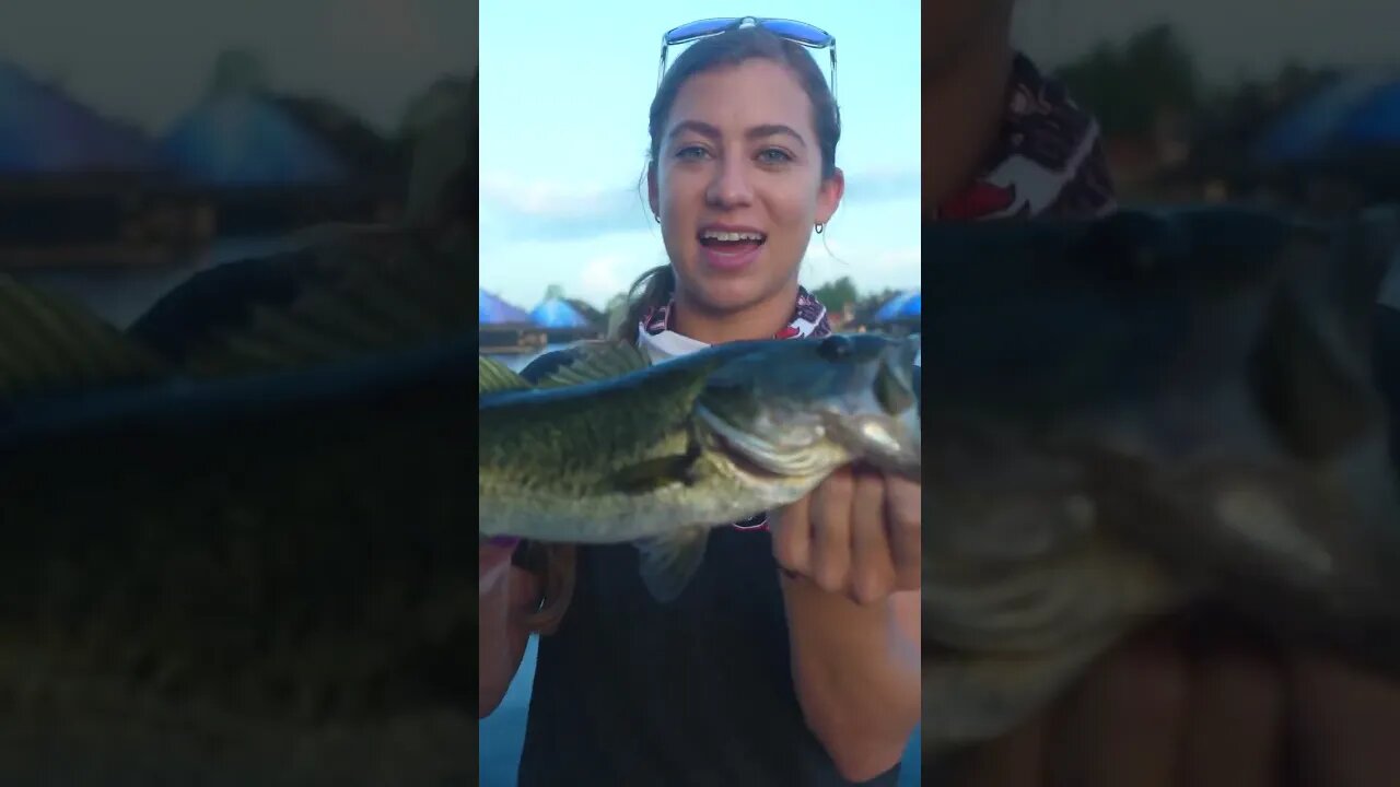 Bass Fish in Epcot #Shorts