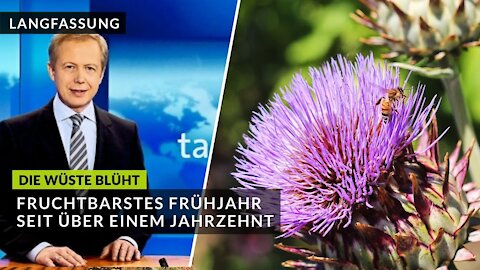 ARD - Integrale Umweltheilung