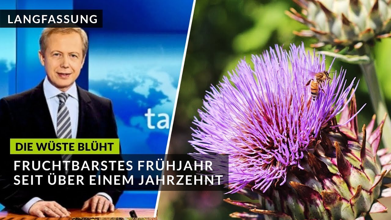 ARD - Integrale Umweltheilung