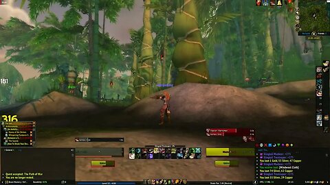 World of Warcraft Mists of Pandaria The Path of War