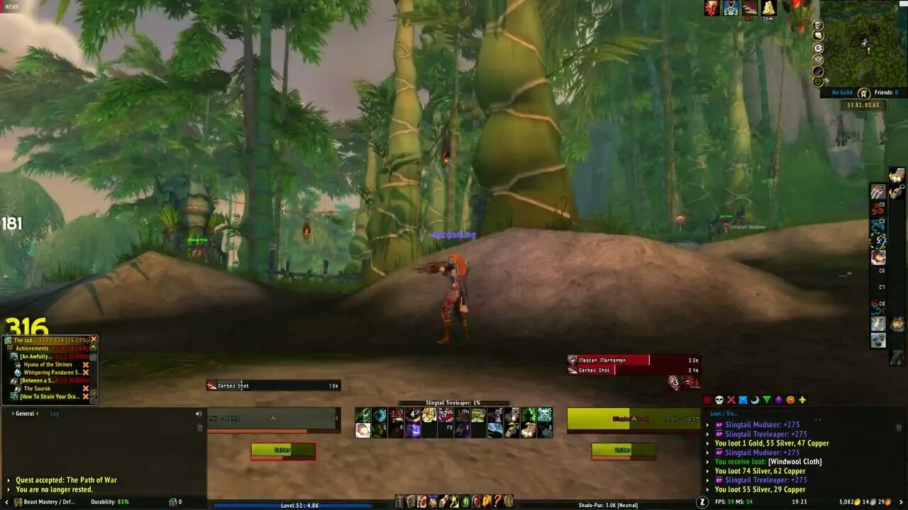 World of Warcraft Mists of Pandaria The Path of War