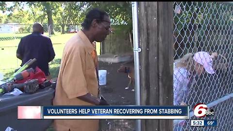 Volunteers build fence for wounded veteran with four dogs