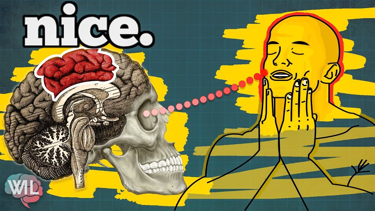 Why do we find Satisfying things so Satisfying? (Neuroscience and Pleasure)