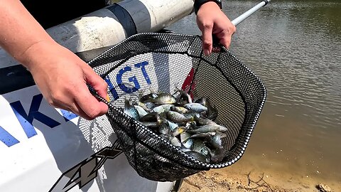 Stocking the 5 Acre Pond with Fish!!