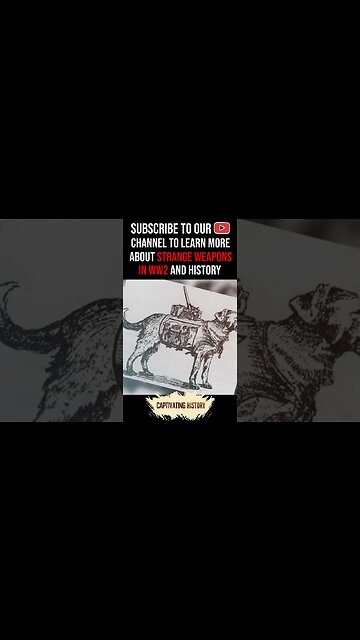 Did You Know Russians Trained Dogs to Run Bombs in WW2? #shorts