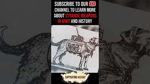 Did You Know Russians Trained Dogs to Run Bombs in WW2? #shorts