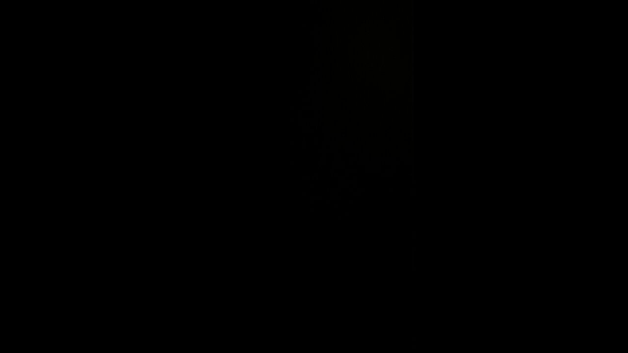 Free speech absolutism