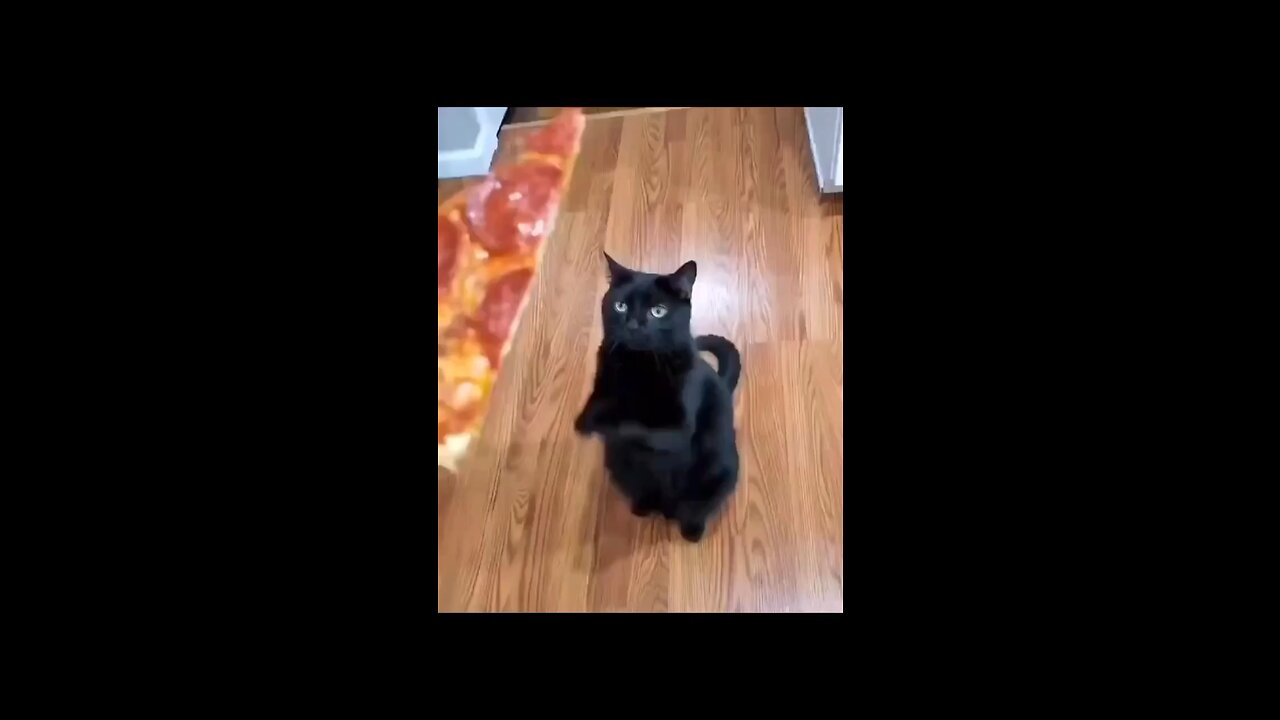 🤣
