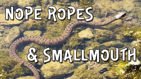 Dodging snakes for smallmouth bass! Ohio Creek Fishin