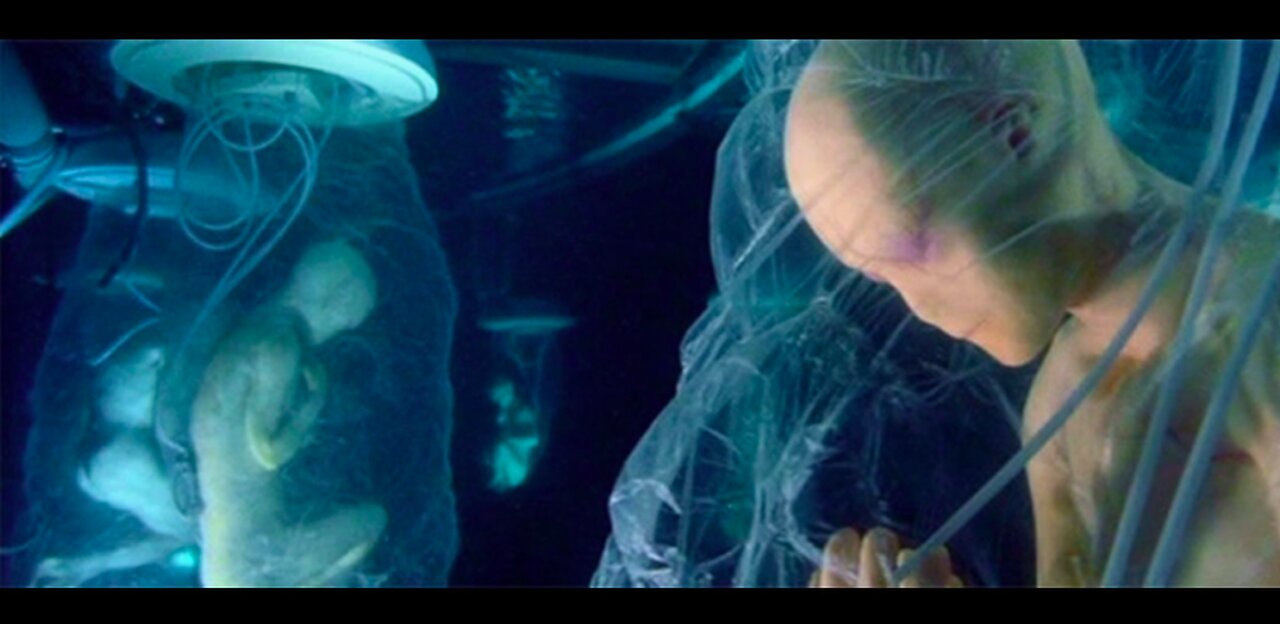 The Incredible True Story of Donald Marshall - Part One Clones Among Us