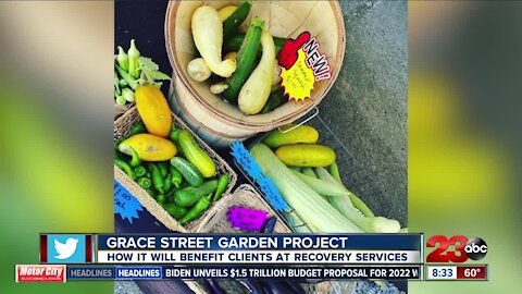 Live Interview: Recovery Services opens Grace Street Garden
