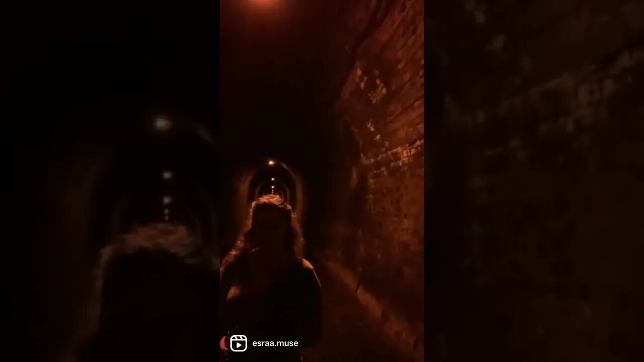 *spontaneously sing in tunnel* #shorts #youtubeshorts #tunnelsinging #tunnel #underground