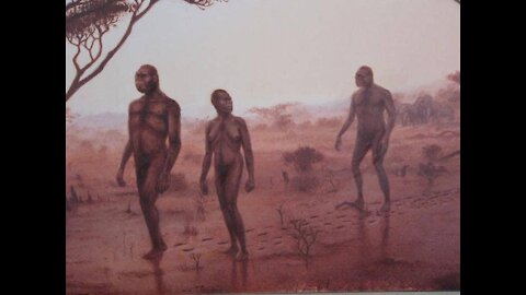 The Dawn Of Man
