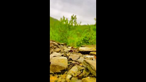 natural beauty of pakistan
