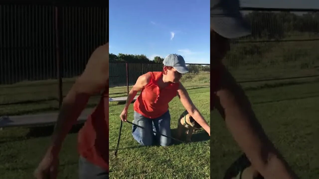 LonelyCreek Ricky Bobby n Amore