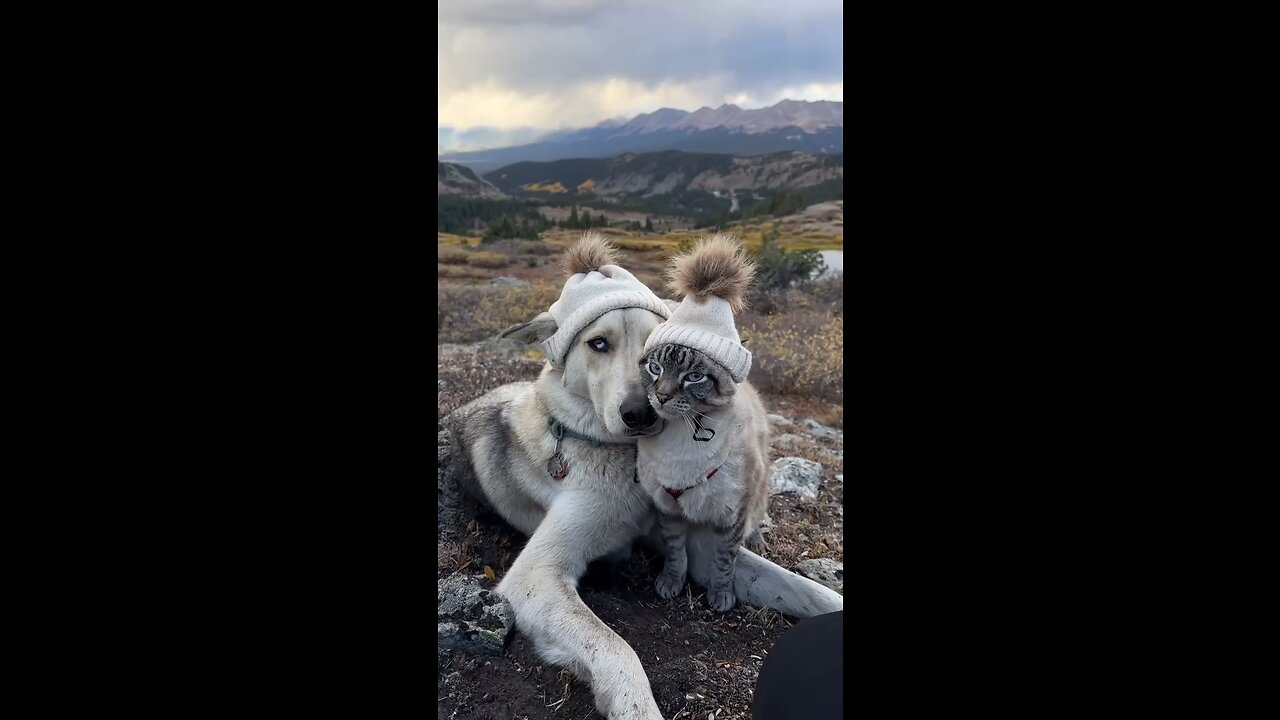 So cute 🥰